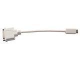 Mini-DVI to DVI Adapter Cable - CL-ADA31020