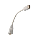 Mini-DVI to DVI Adapter Cable - CL-ADA31020