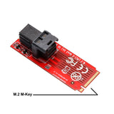 IOCrest M.2 Socket Mini-SAS HD to U.2 Cable (SFF-8643 to SFF-8639) Connector for U.2 PCIe-NVMe SSD U2 U.2 Kit Cable Included